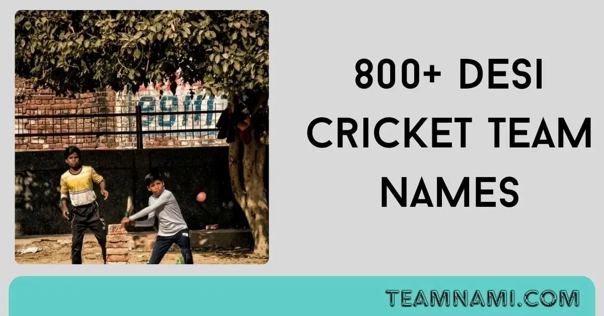 Creative desi cricket team names list to boost your squad's spirit
