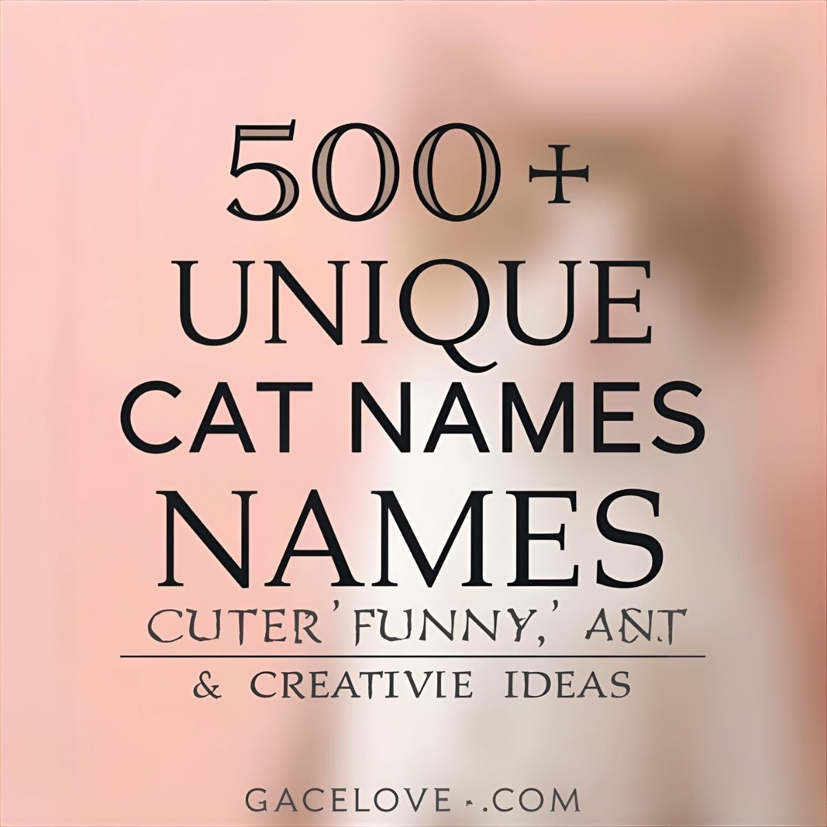 Unique Cat Names